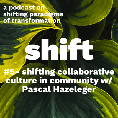 #5 [english] – Shifting Collaborative Culture in Community with Pascal Hazeleger
