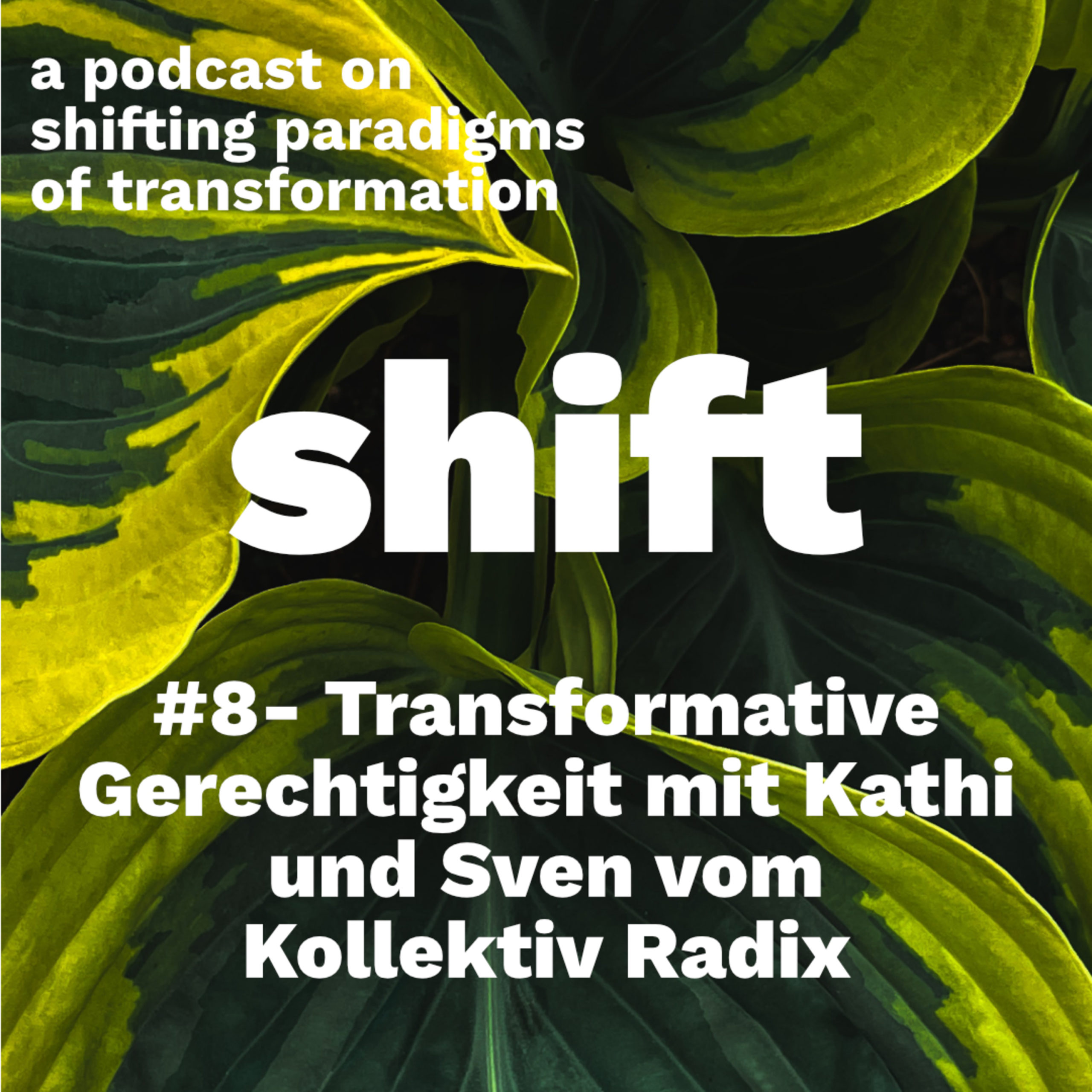 #8 [german] – Transformative Gerechtigkeit mit Sven und Kathi vom Kollektiv Radix
