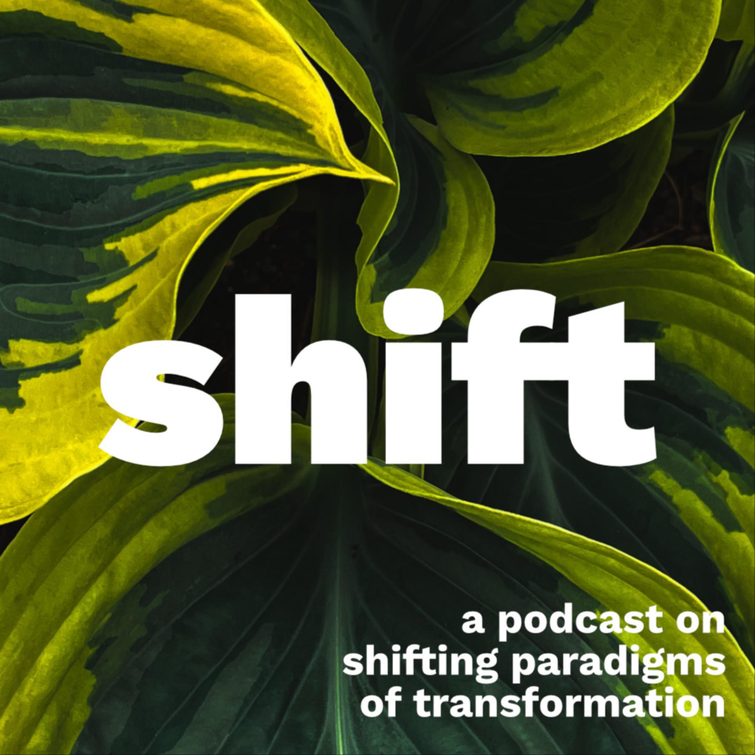 Shift #10 – Tipping Points for Justice w/ Jan Horzela